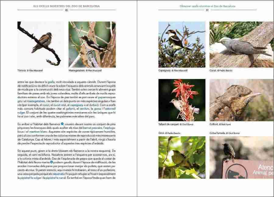 Els ocells silvestres del Zoo de Barcelona sample page