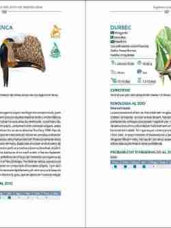 Els ocells silvestres del Zoo de Barcelona sample page