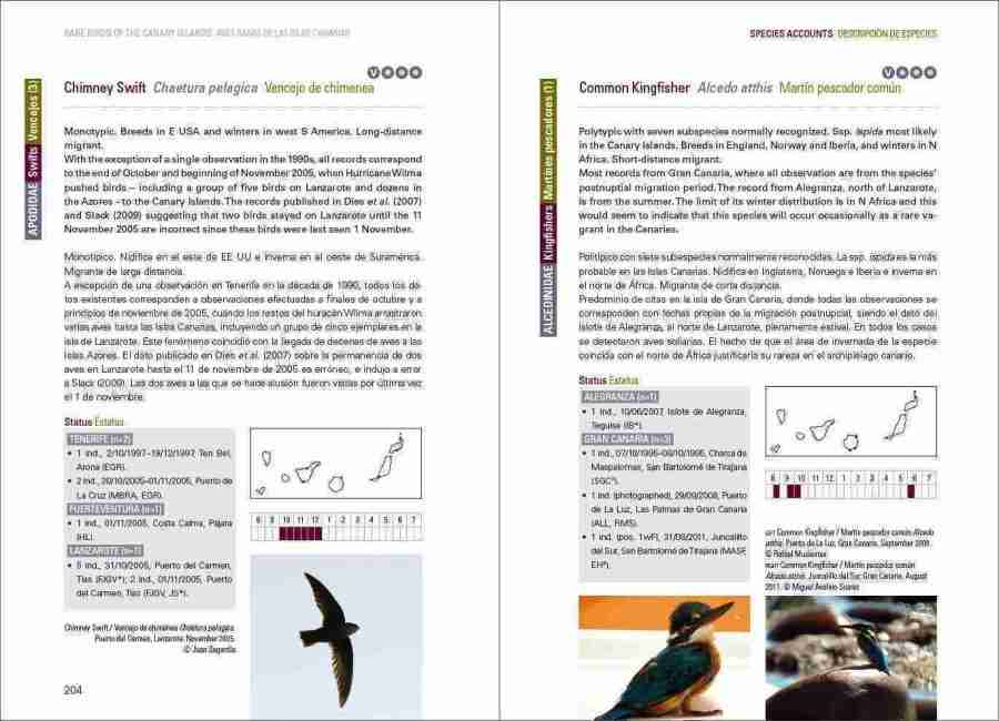 Rare Birds of the Canary Islands / Aves raras de las Islas Canarias sample page