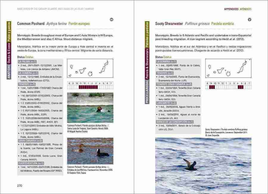 Rare Birds of the Canary Islands / Aves raras de las Islas Canarias sample page