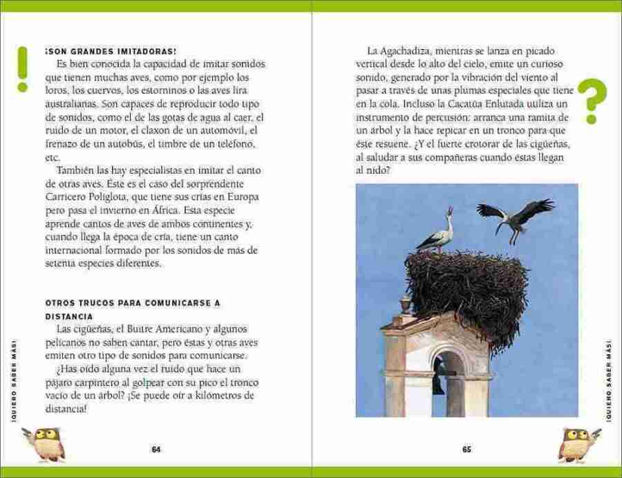 Versos con alas sample page